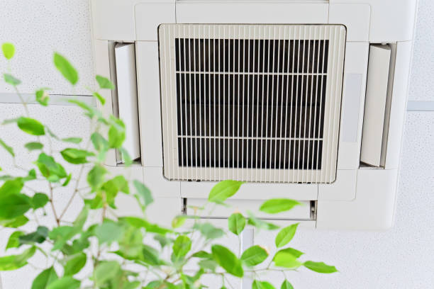 Best Emergency Air Duct Cleaning  in Cheswold, DE